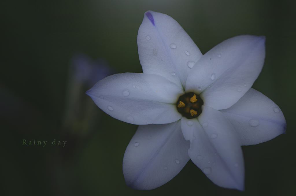 rainy day