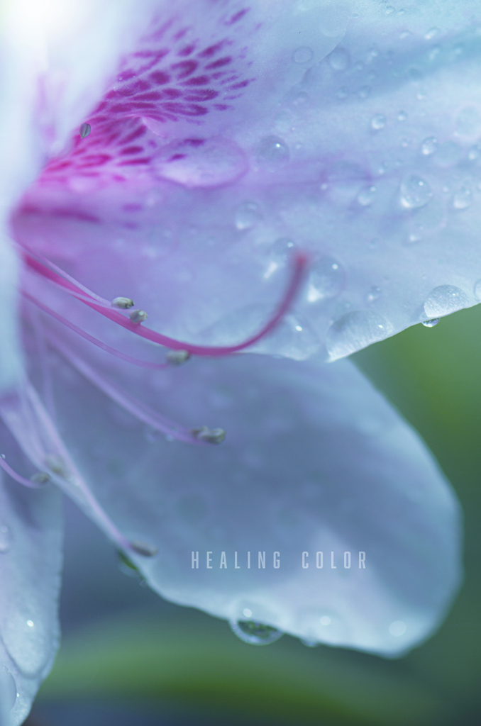 healing color