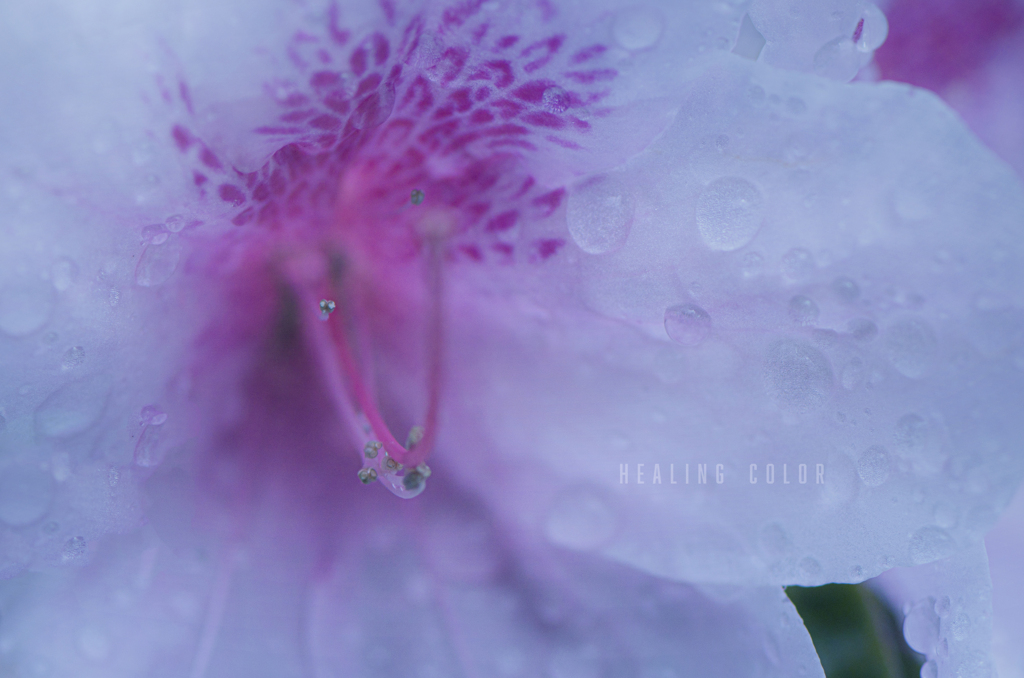 healing color