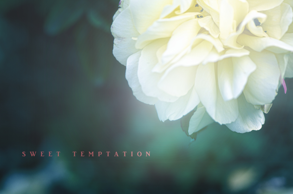 sweet temptation