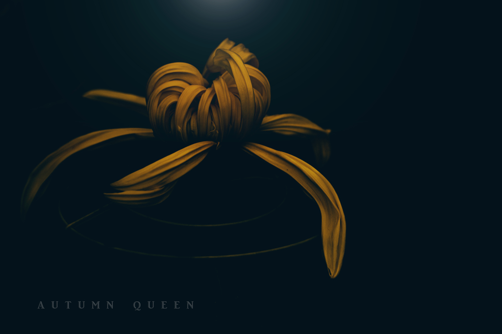 autumn queen