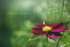 autumn jewelry