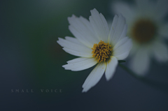 small voice