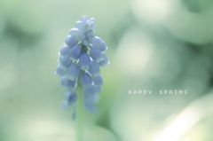 happy spring 