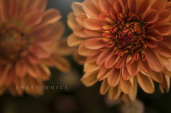 small voice