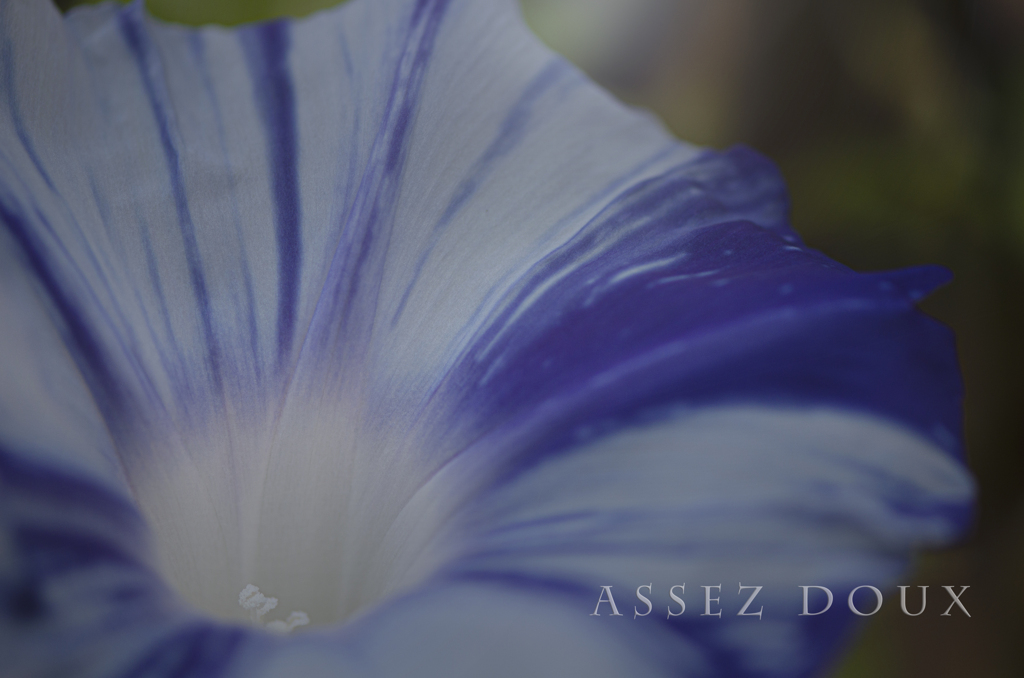 assez doux