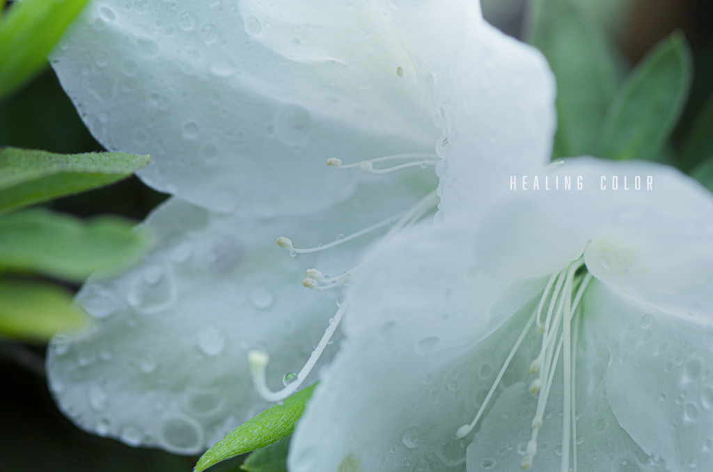 healing color