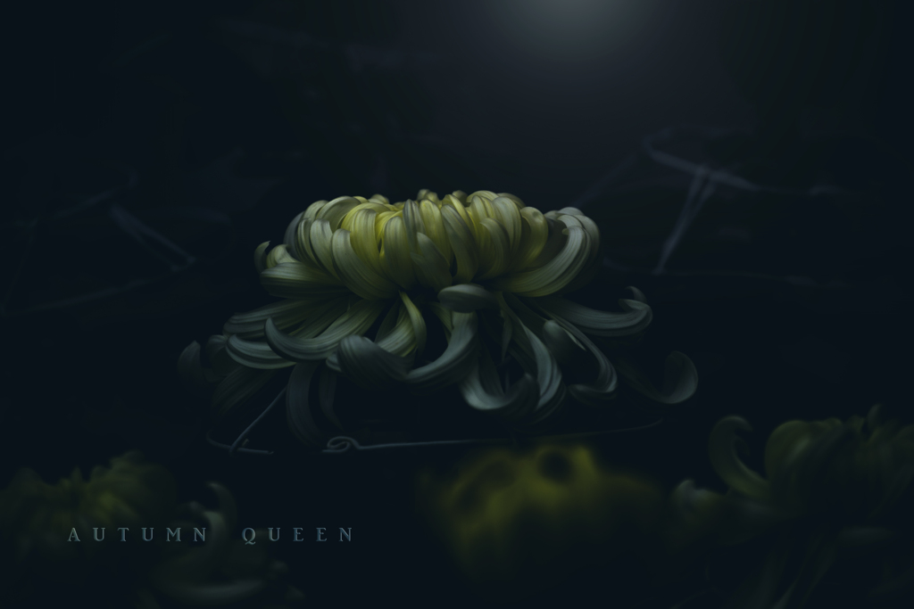 autumn queen