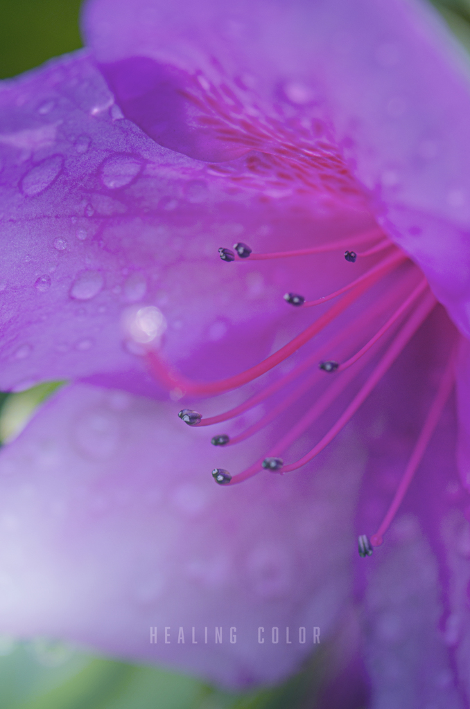 healing color
