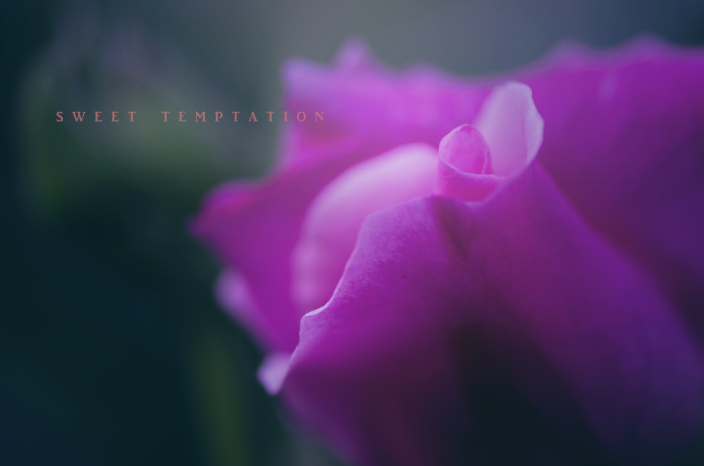 sweet temptation