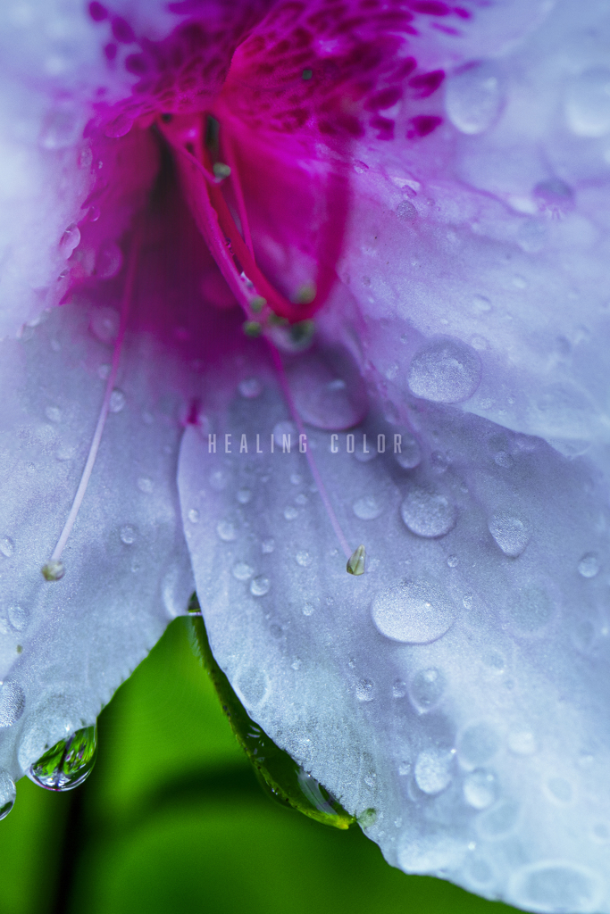 healing color