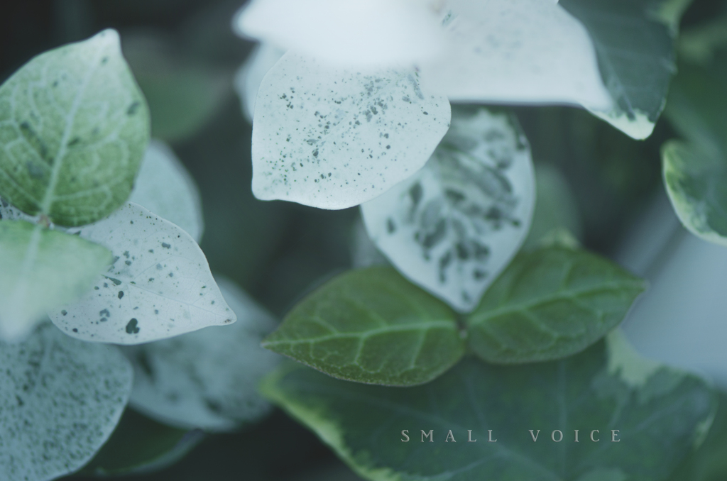 small voice