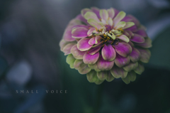 small voice