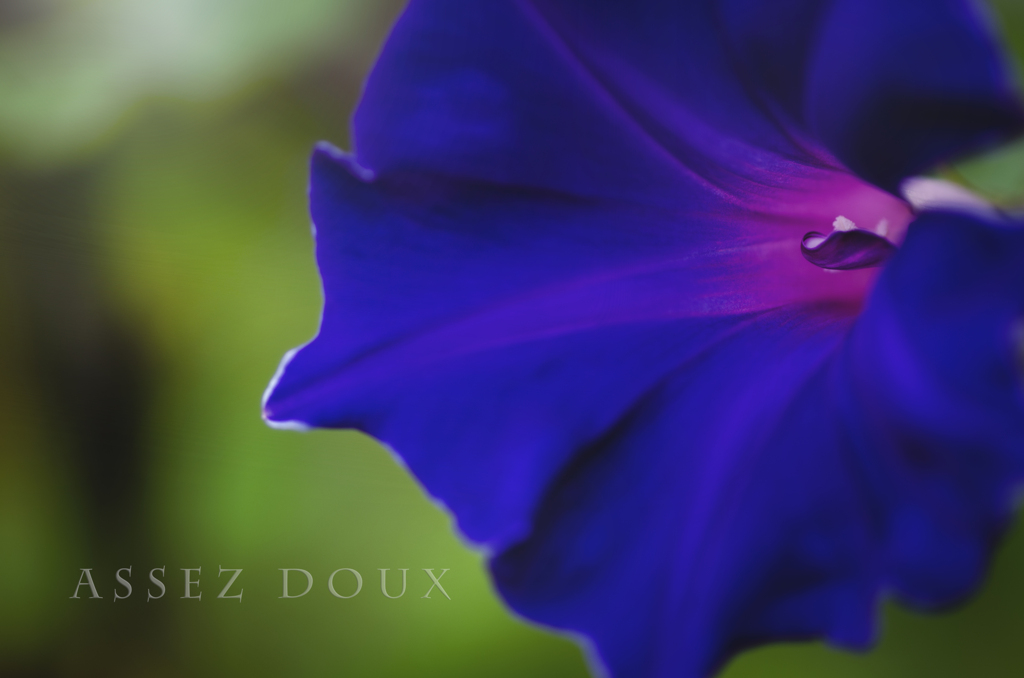 assez doux