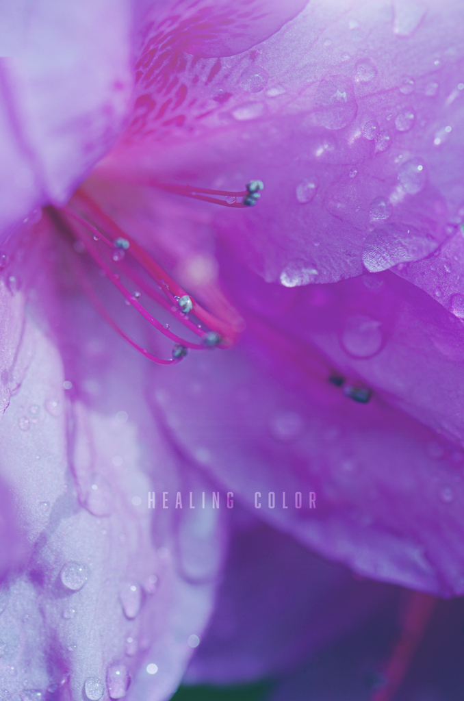 healing color