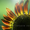 macro