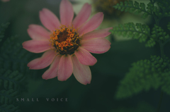 small voice