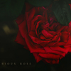 mysterious rose