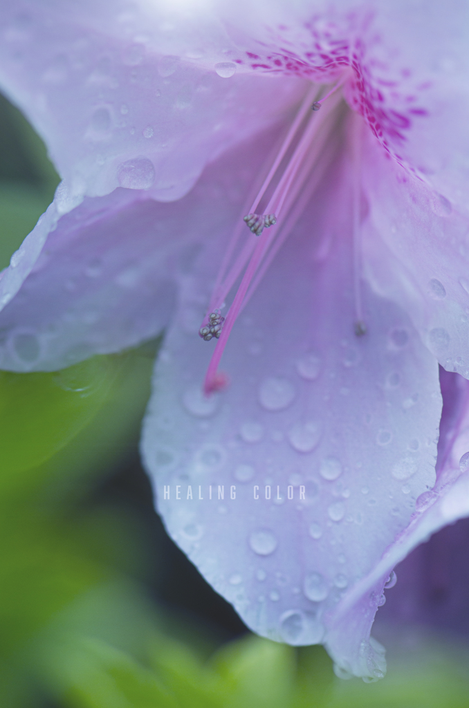 healing color