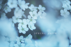 spring snow