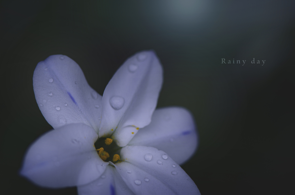 rainy day