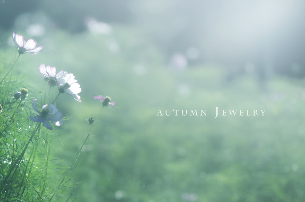 autumn jewelry