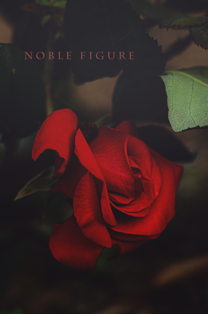 noble figure