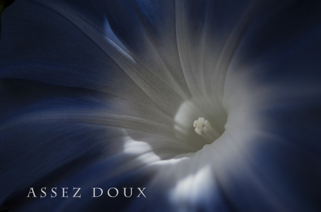 assez doux