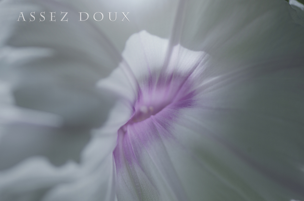 assez doux