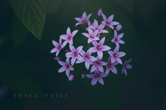 small voice