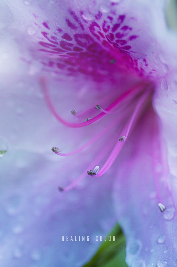 healing color