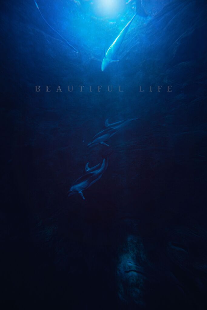 beautiful life