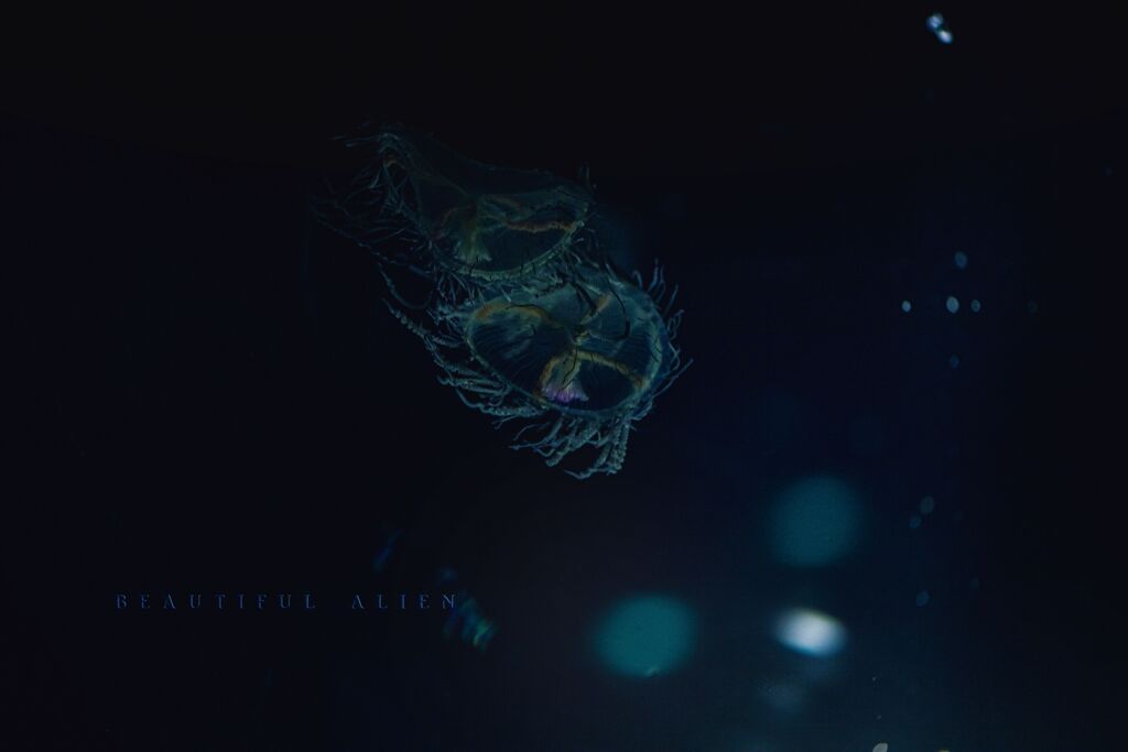 beautiful alien