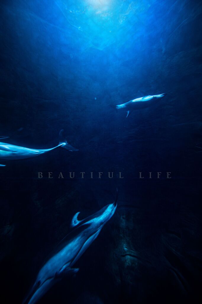 beautiful life