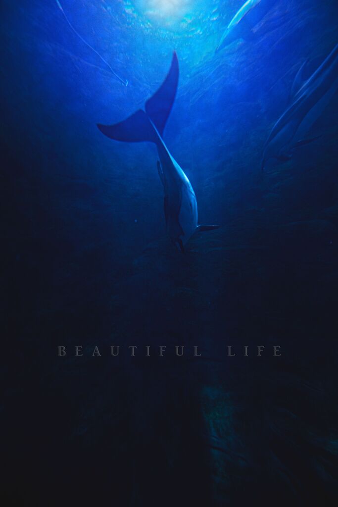 beautiful life