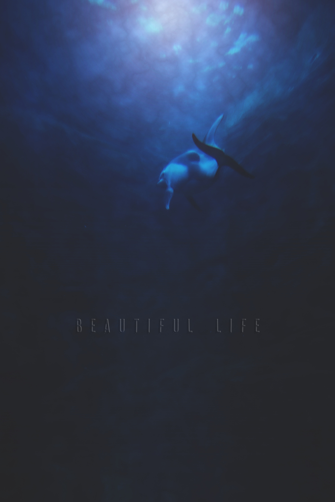 beautiful life