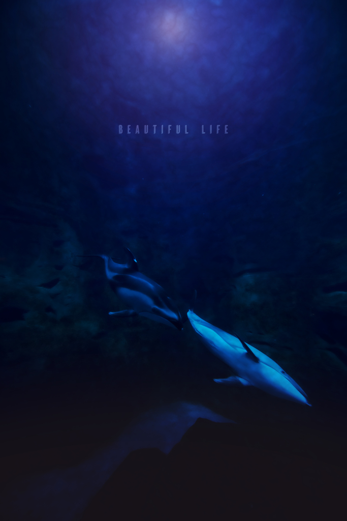 beautiful life