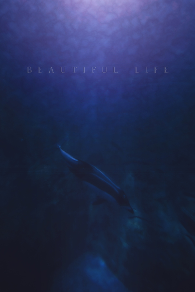 beautiful life