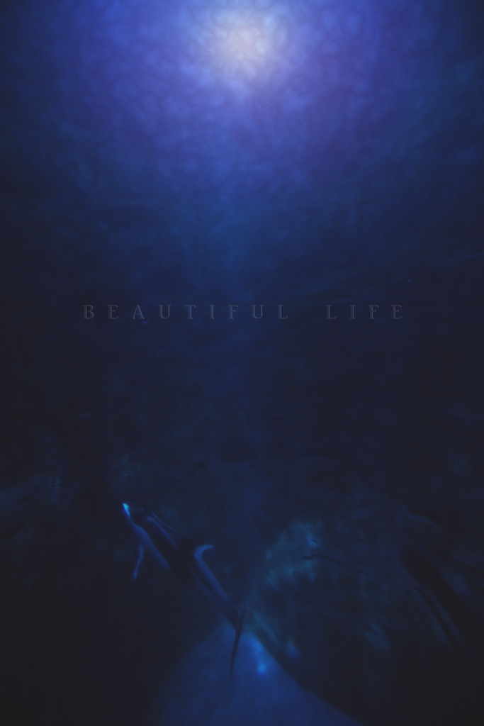 beautiful life