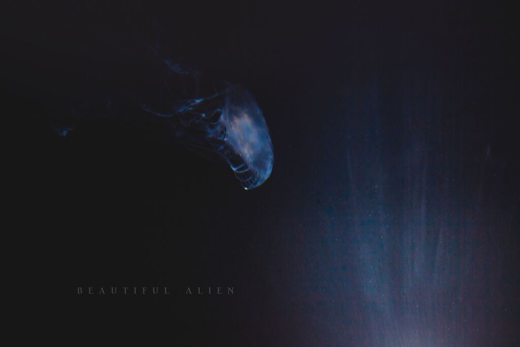 beautiful alien