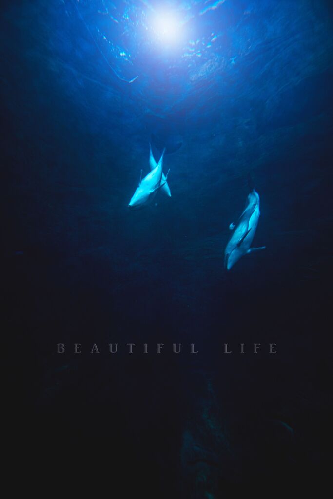 beautiful life