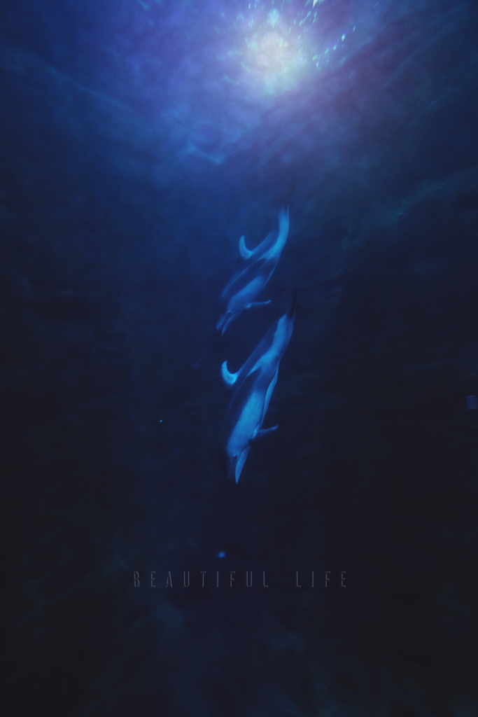 beautiful life