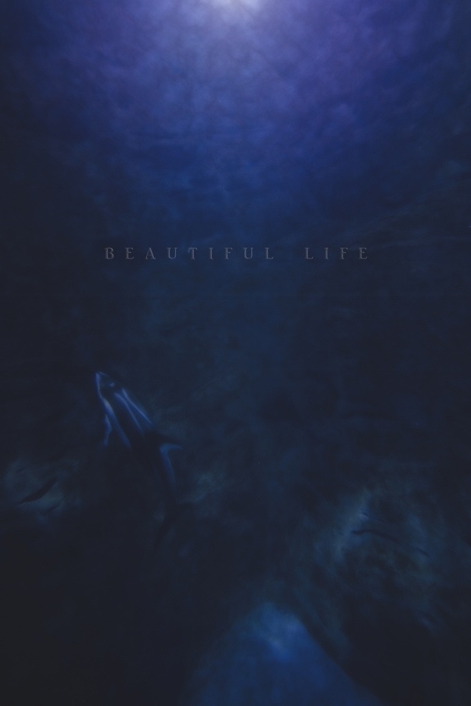 beautiful life