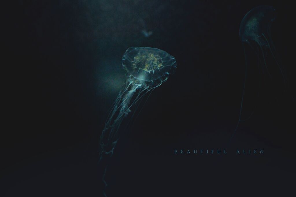 beautiful alien