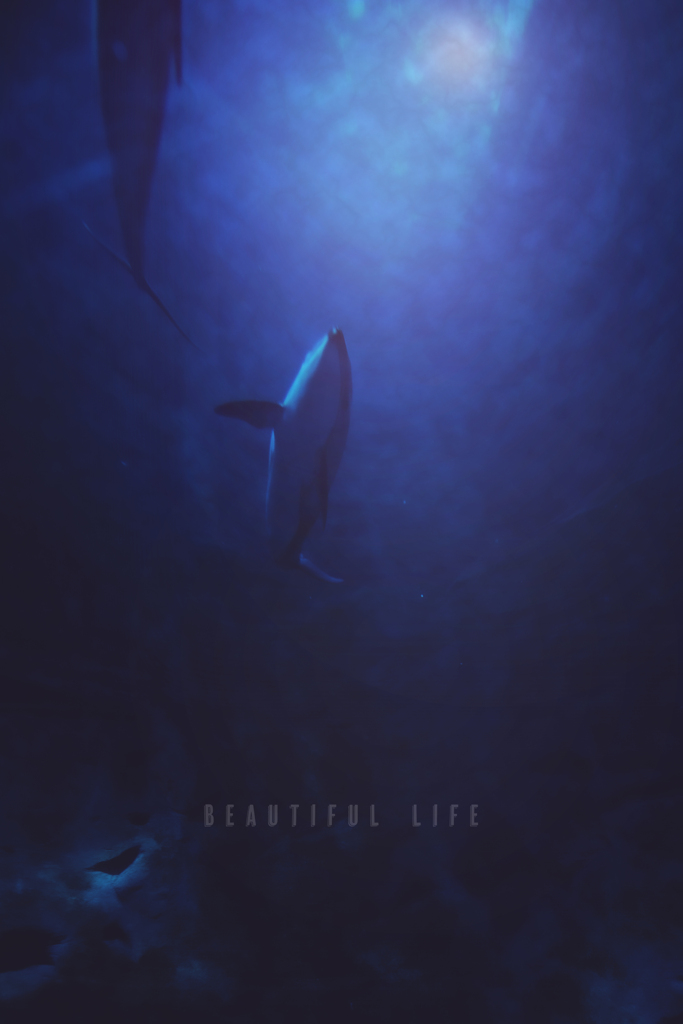 beautiful life