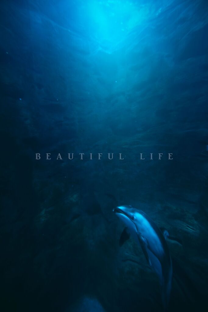 beautiful life