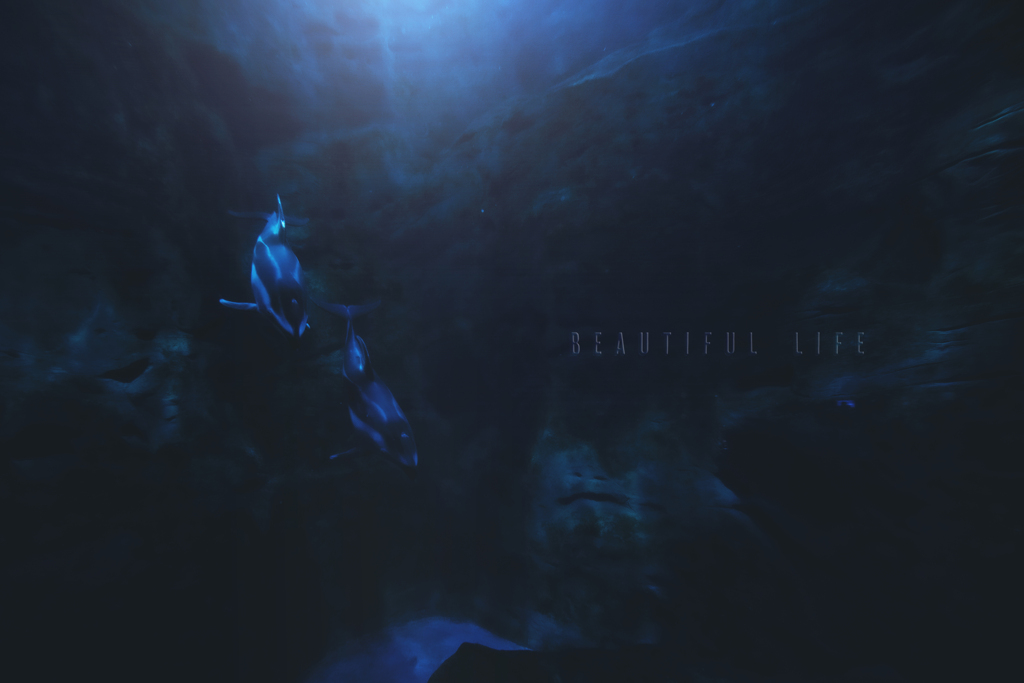 beautiful life