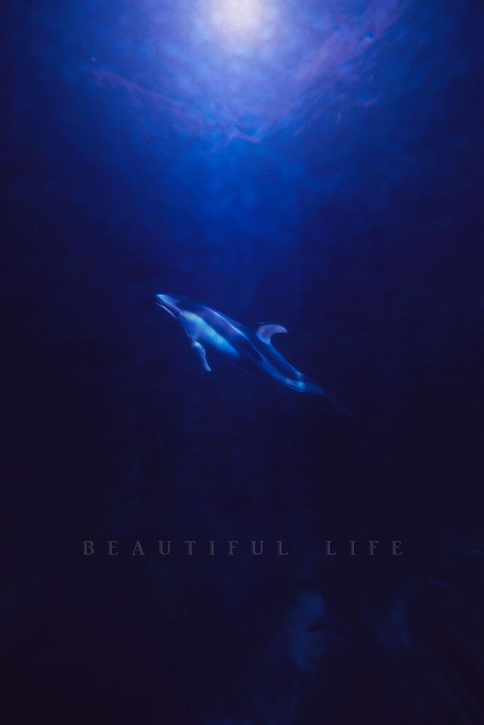 beautiful life