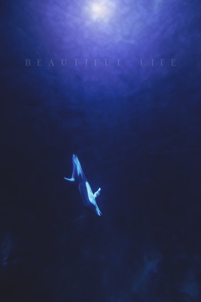 beautiful life