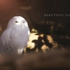 beautiful life